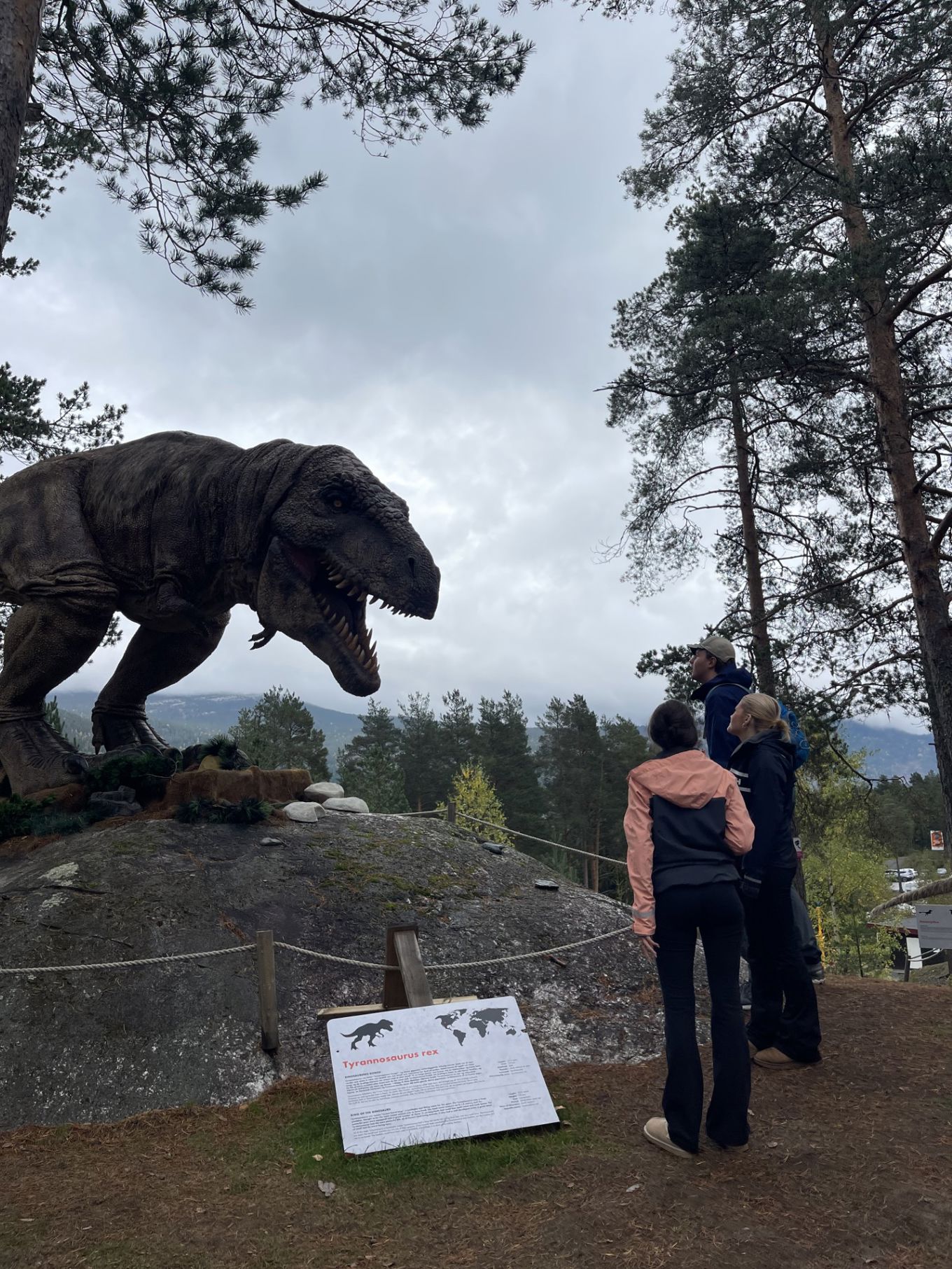 en gruppe mennesker som ser på en bjørnestatue