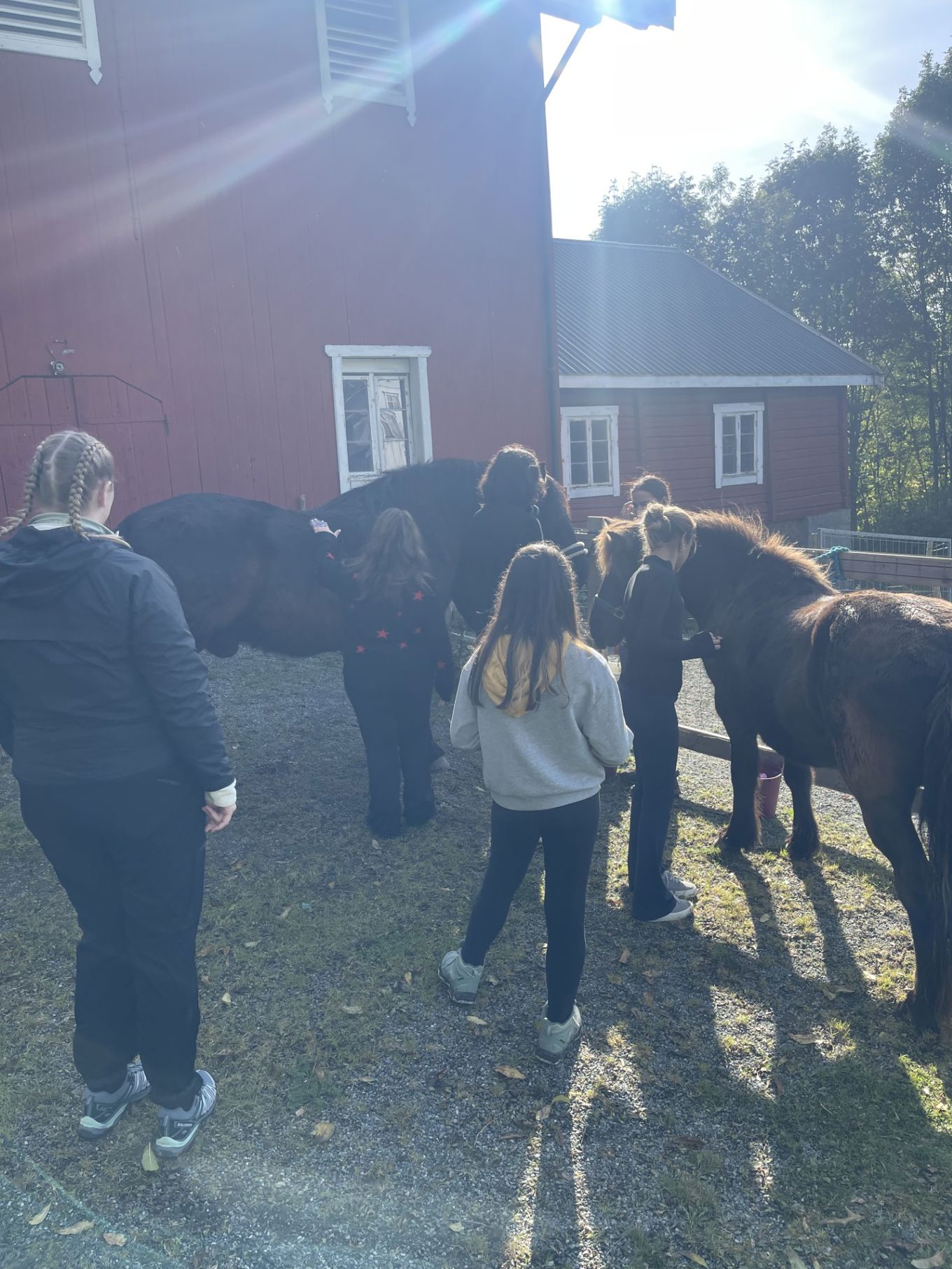 En gruppe mennesker som går tur med hester