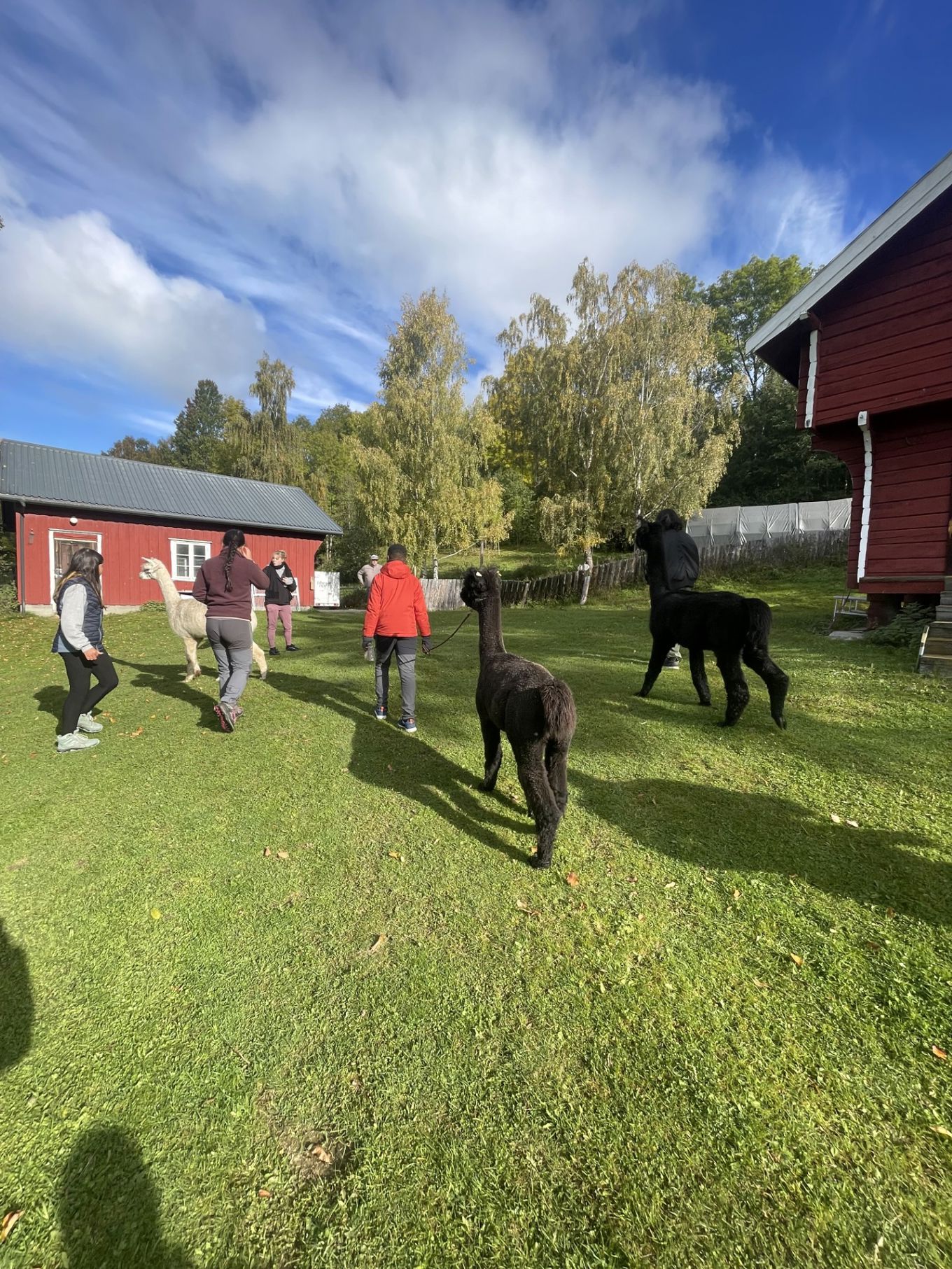 En gruppe mennesker som går tur med hester