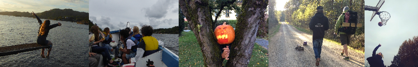 Aktiv banner 950p Aktiv banner 950p